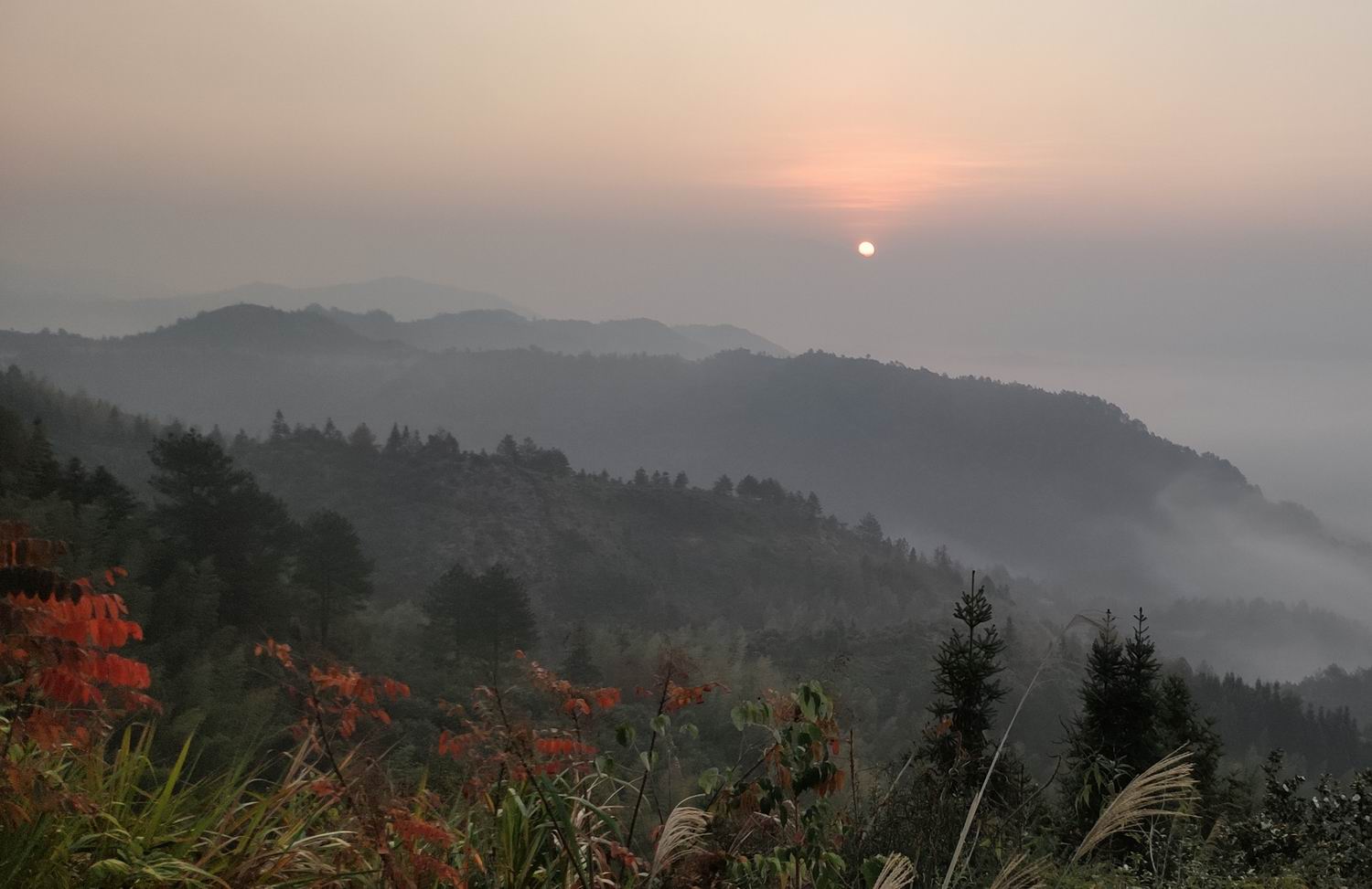 调整大小 IMG_20191203_163553.jpg