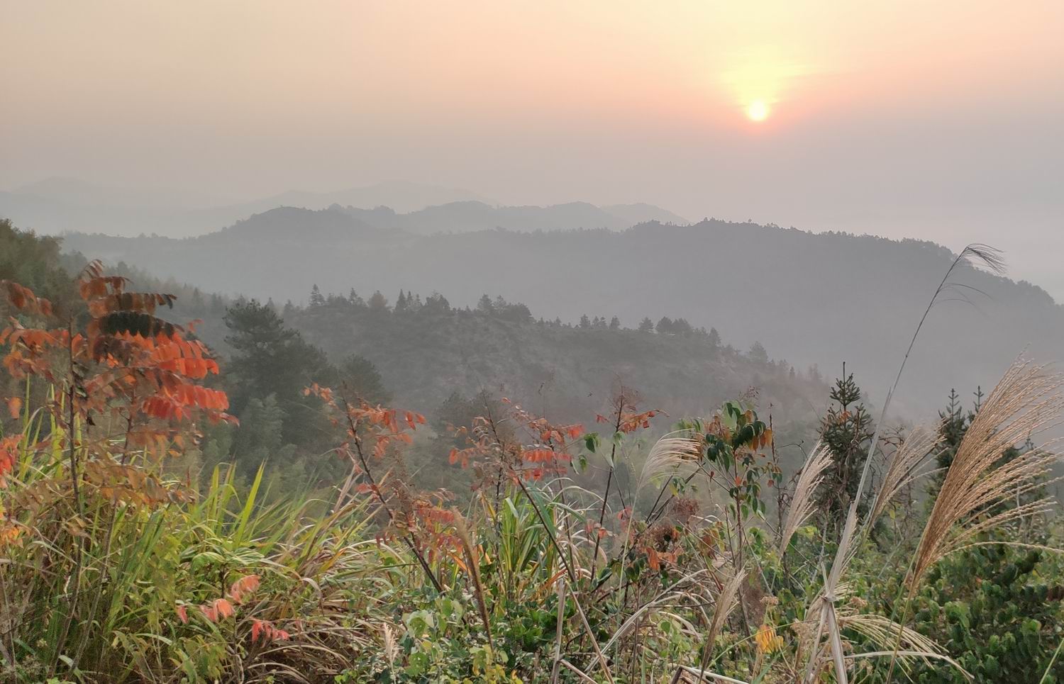 调整大小 IMG_20191203_163624.jpg