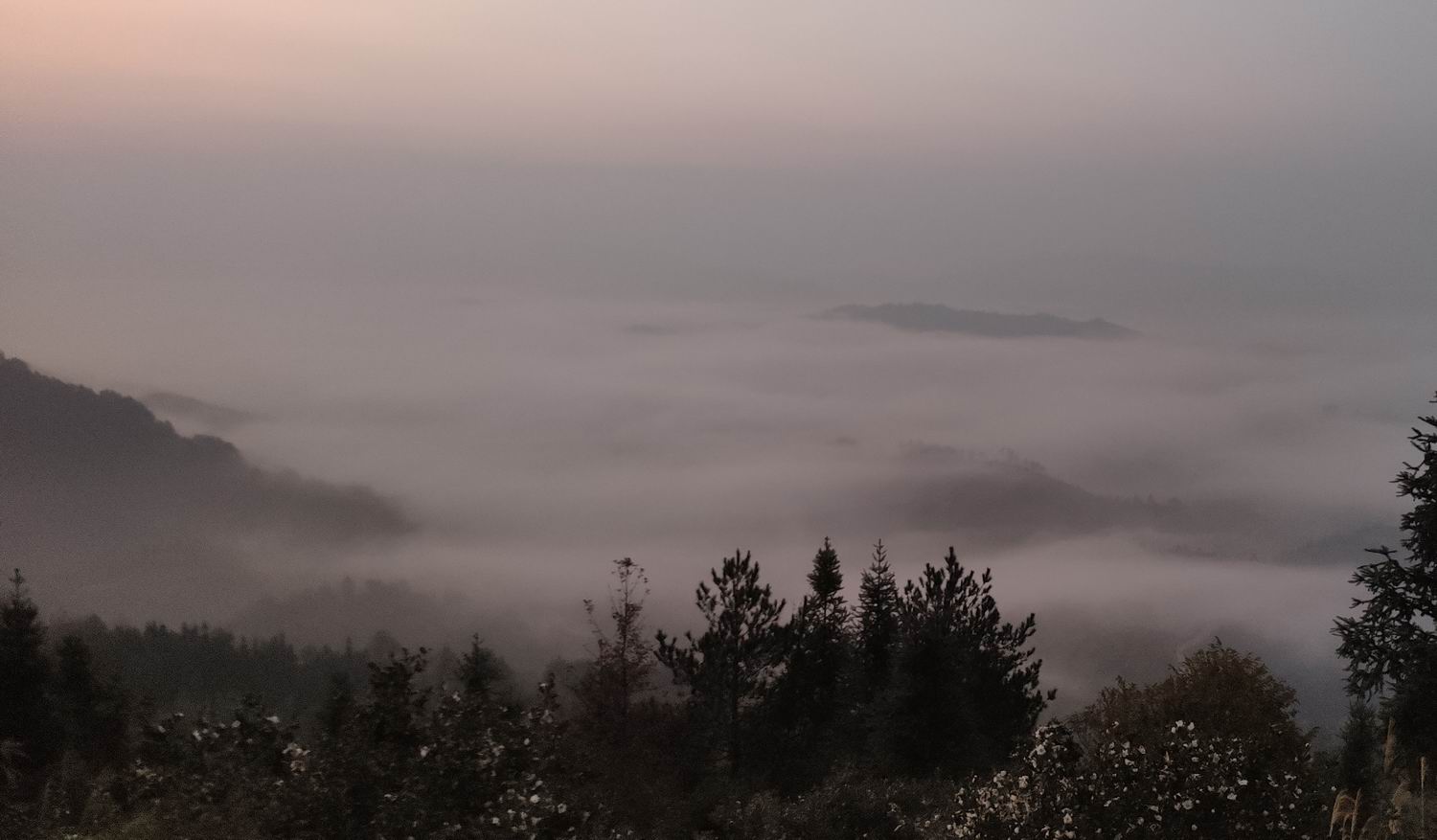 调整大小 IMG_20191203_164245.jpg