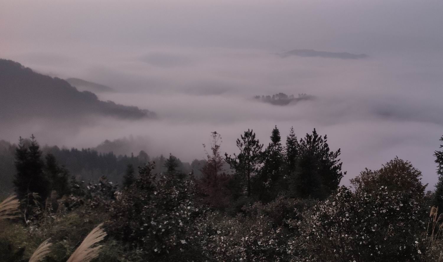 调整大小 IMG_20191203_164303.jpg