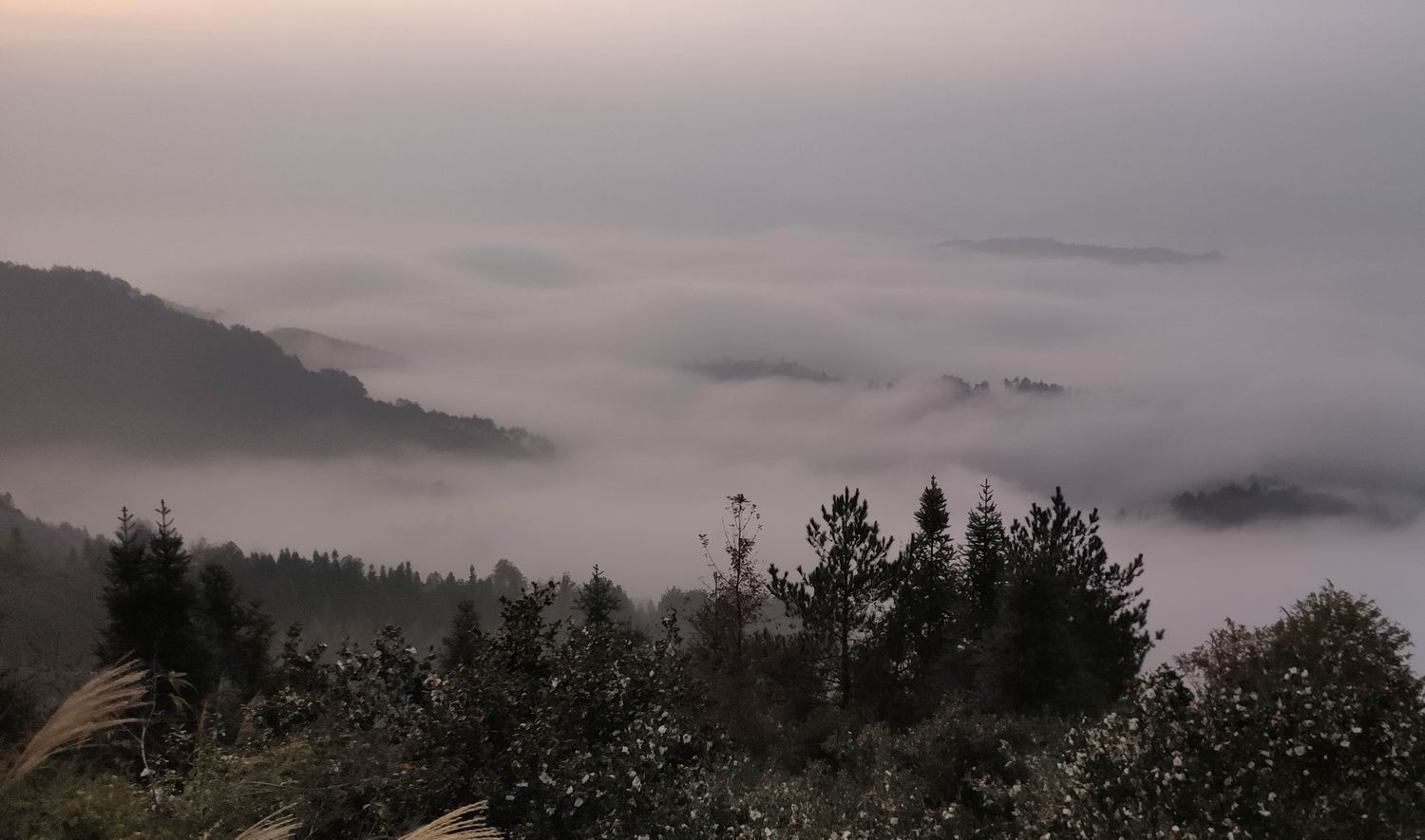 调整大小 IMG_20191203_164329.jpg