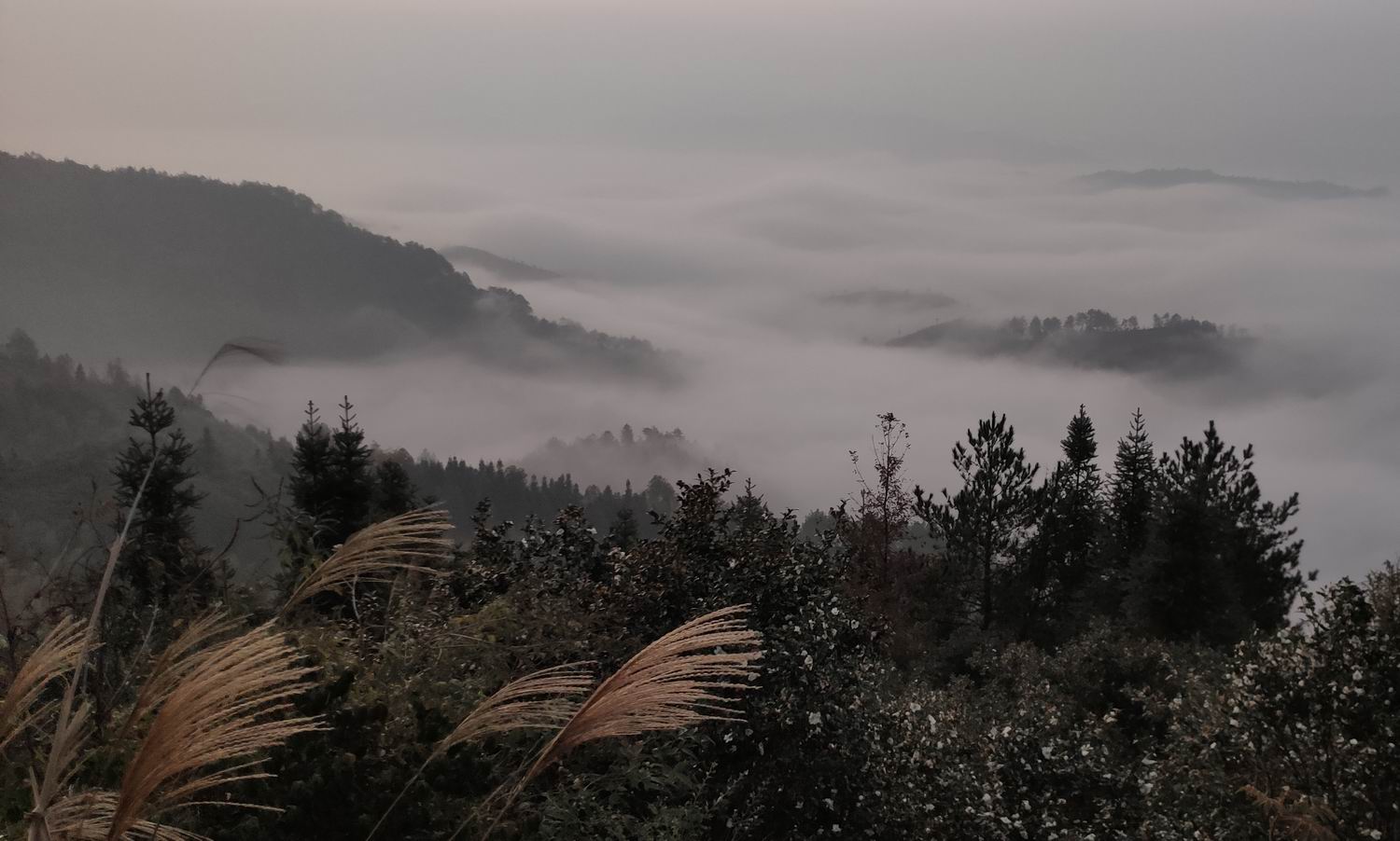 调整大小 IMG_20191203_164340.jpg