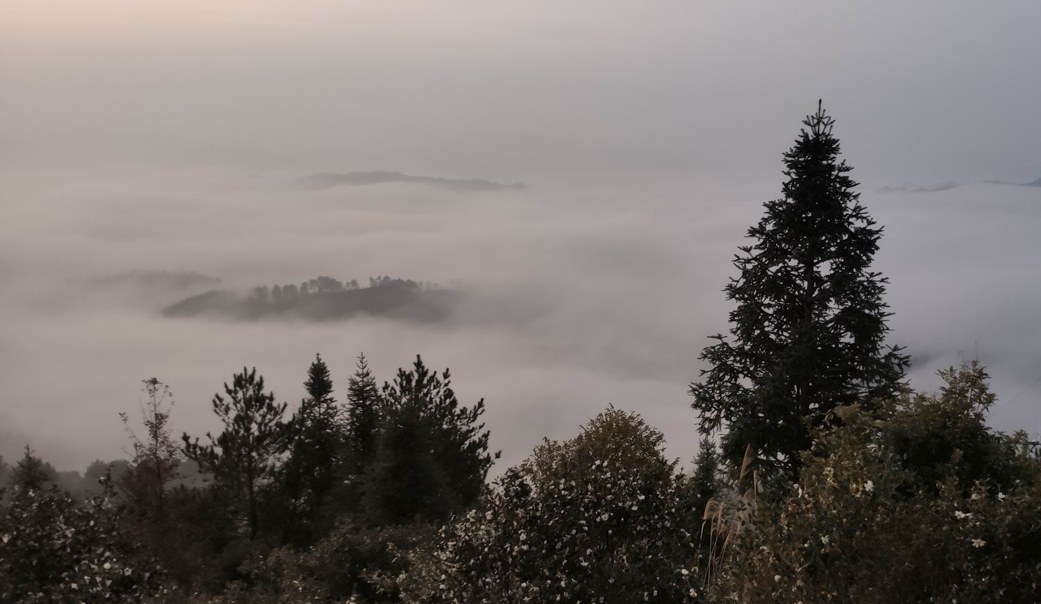 调整大小 IMG_20191203_164350.jpg