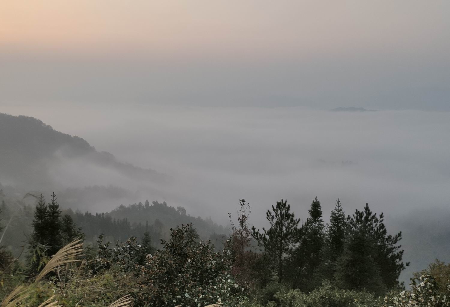 调整大小 IMG_20191203_164434.jpg