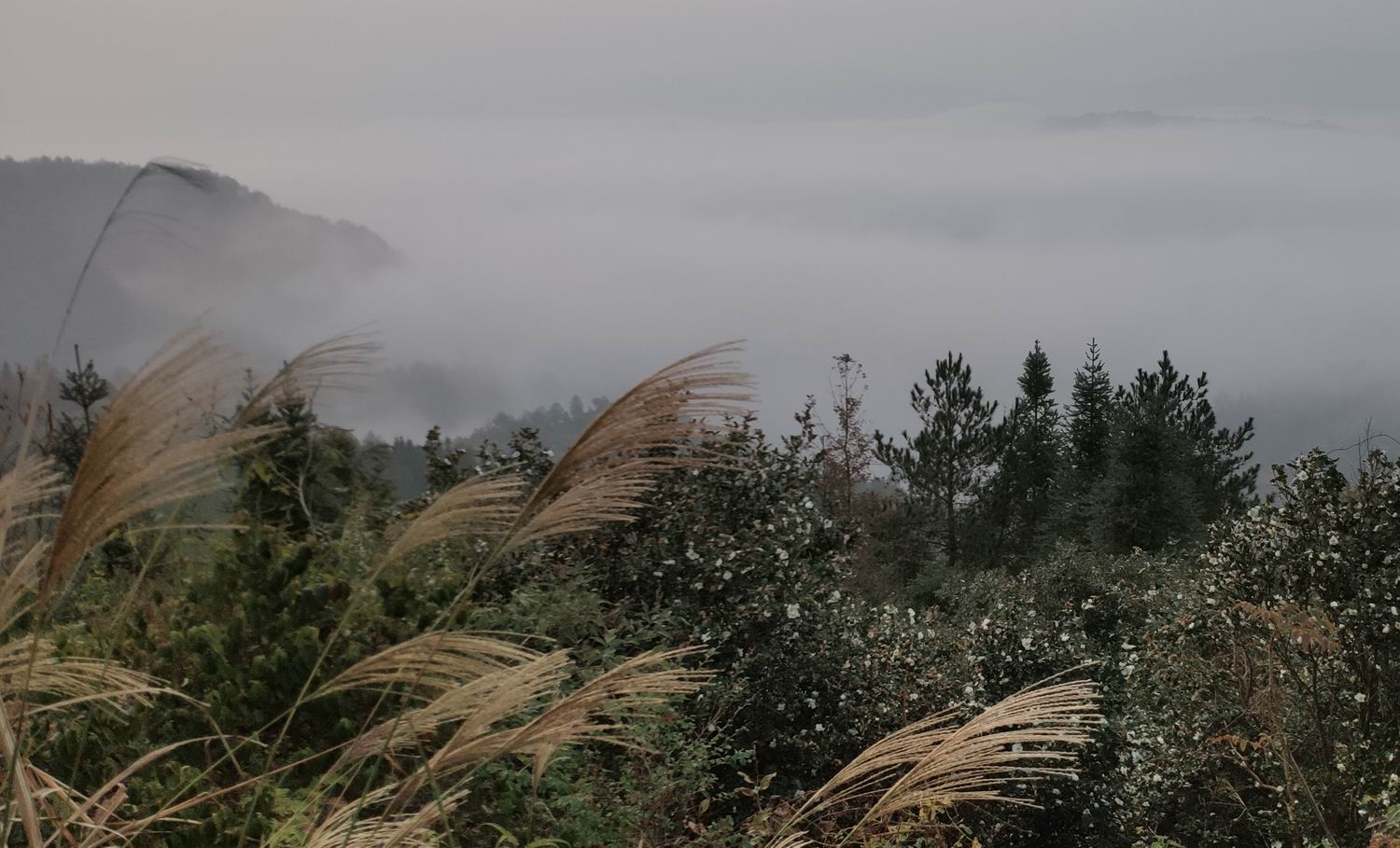 调整大小 IMG_20191203_164404.jpg