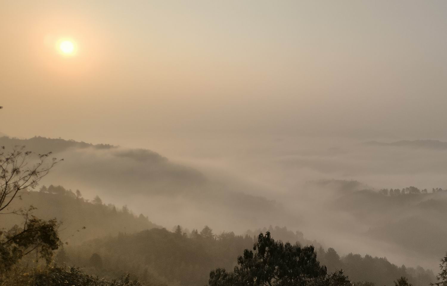 调整大小 IMG_20191203_164606.jpg