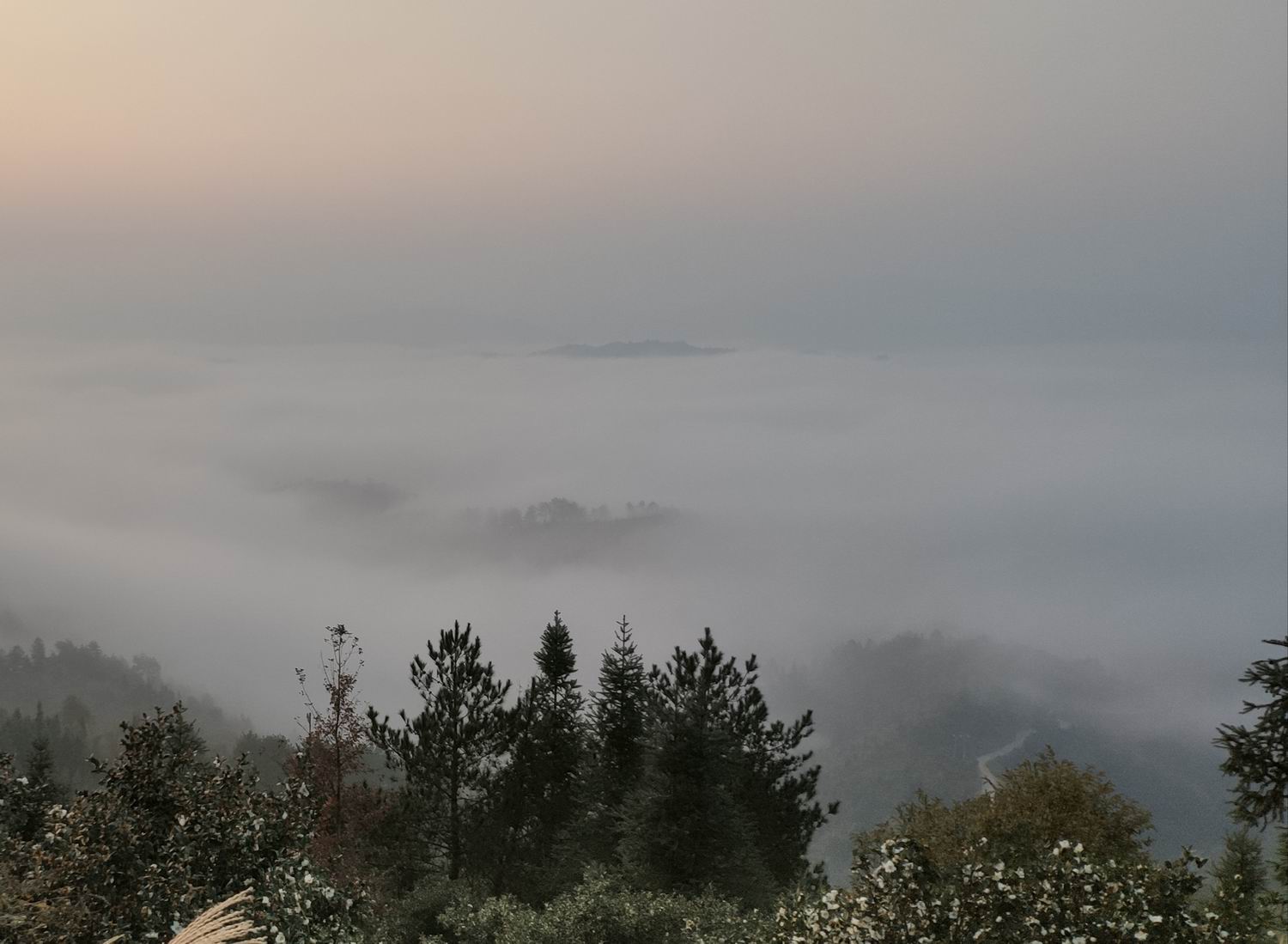 调整大小 IMG_20191203_164456.jpg