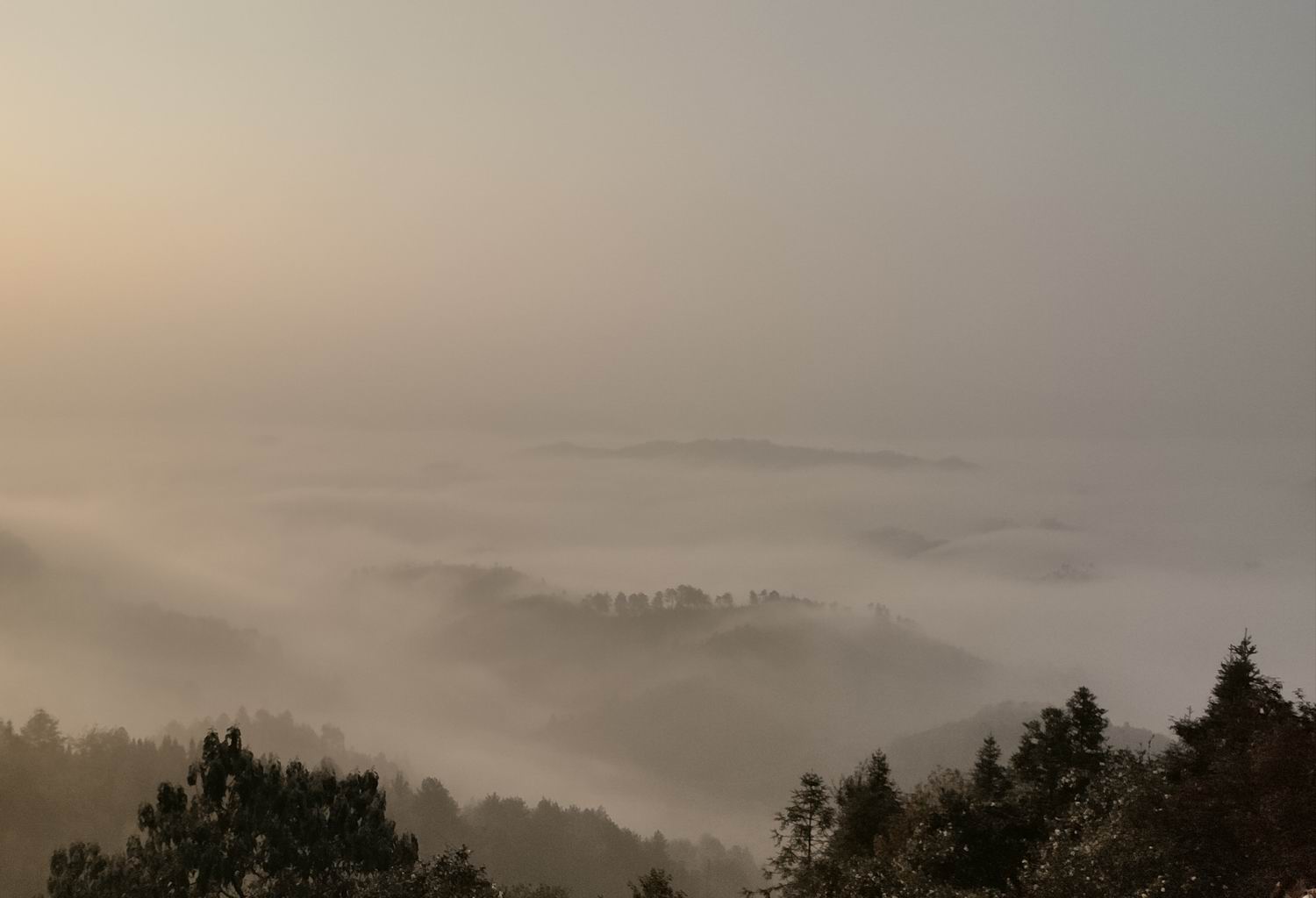 调整大小 IMG_20191203_164548.jpg