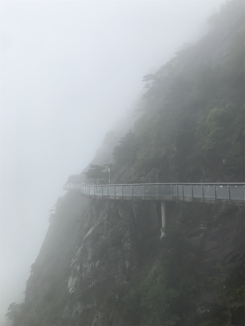 在云雾里的玻璃栈道，可能是一个人的缘故，走在上面，一点都不害怕。只是有点傻。走完玻璃栈道已经是4点多  ...